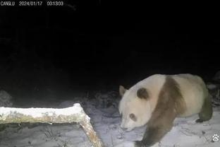 曼晚：雷吉隆和库库雷利亚是曼联左后卫引援目标